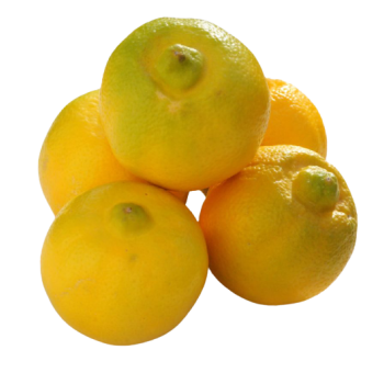 Citron bergamote - maroc